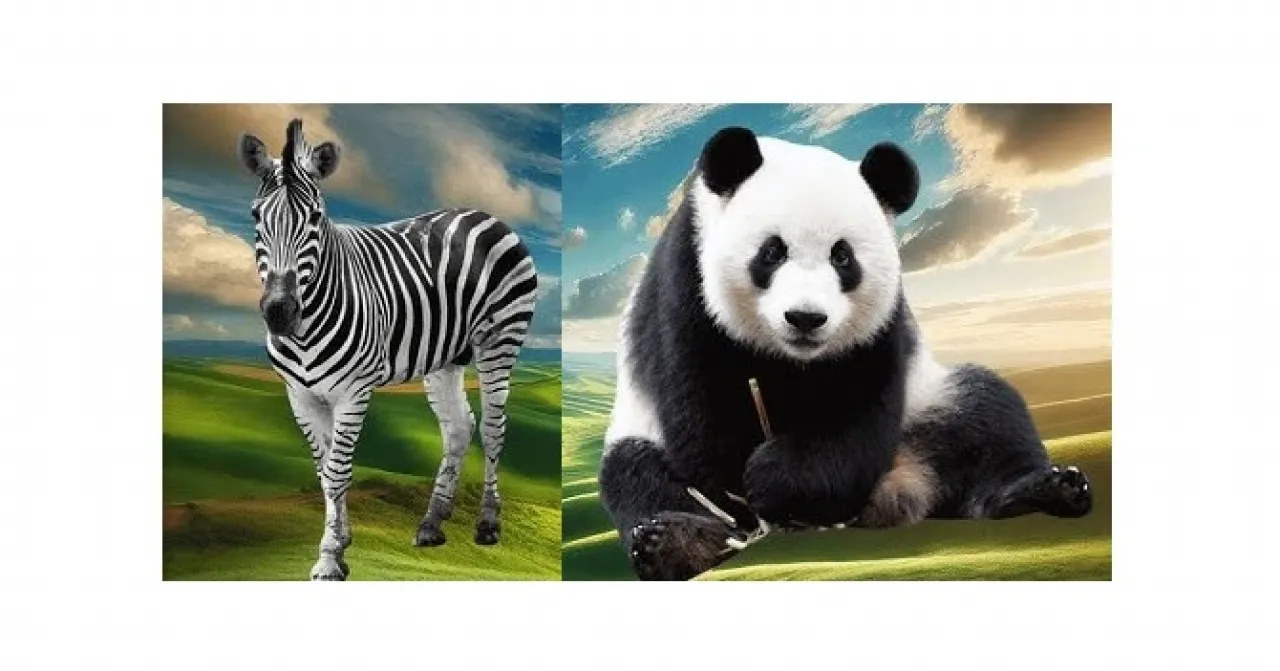 Bazı Hayvanlar Neden Siyah Beyaz Renkli?