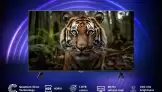 Motorola Envision X QLED Akıllı TV Serisi Tanıtıldı