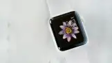 Apple Watch'ta Efsane Seramik Kasa Seçeneği Geri Dönüyor