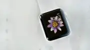 Apple Watch'ta Efsane Seramik Kasa Seçeneği Geri Dönüyor