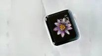 Apple Watch'ta Efsane Seramik Kasa Seçeneği Geri Dönüyor