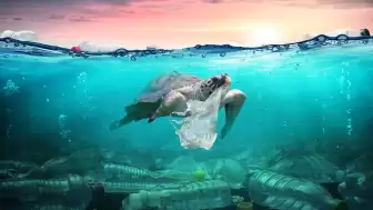 Kuzey Atlantik’te Kirlilik Alarmı: 27 Milyon Tonu Aşkın Nanoplastik Bulundu!