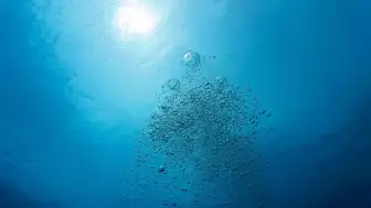 Soluduğunuz oksijen, okyanustaki minicik bir bileşene bağlı!