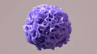 Organların Sağlıklı Kalmasını Sağlayan Genetik Anahtar Keşfedildi!