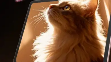 Oppo Pad Air 5'in Çılgın Özellikleri Gün Yüzüne Çıktı!