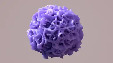 Organların Sağlıklı Kalmasını Sağlayan Genetik Anahtar Keşfedildi!