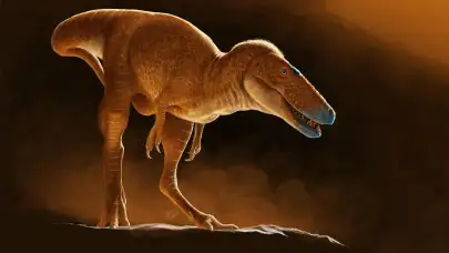 T.Rex'ten Önce "Ejderha Prensi" Vardı