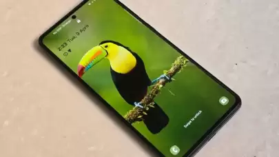 Samsung'dan Bütçe Dostu Galaxy M56 ve F56 Modelleri Geliyor
