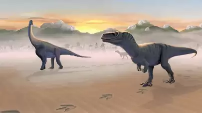 İskoçya'nın Skye Adası'nda Müthiş Keşif: Dinozorların Ayak İzlerine Rastlandı