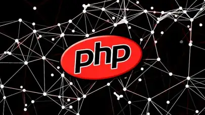 PHP Güvenlik Açıkları Küresel Krize Yol Açtı: Hükümetler ve Kurumlar Alarmda
