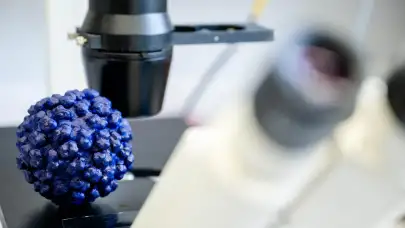 Hepatit E için Yeni Bir İlaç Deneniyor! Bir Devrin Sonu mu Geliyor?