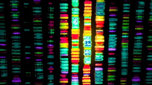 Bilim insanları Alzheimer hastalığıyla bağlantılı "gereksiz DNA"nın şifresini çözdü