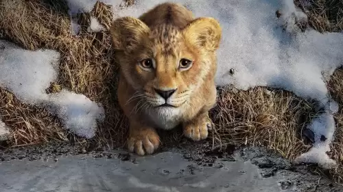 Mufasa: Aslan Kral Disney Plus'a Geliyor! İşte Yayın Günü ve Saati