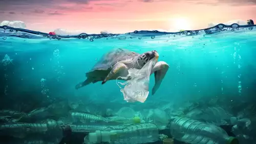 Kuzey Atlantik’te Kirlilik Alarmı: 27 Milyon Tonu Aşkın Nanoplastik Bulundu!