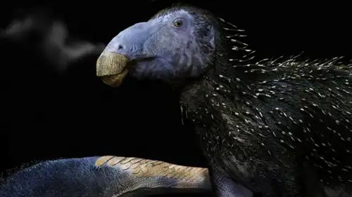 Çin'de 125 Milyon Yıllık Bir Dinozor Keşfedildi!