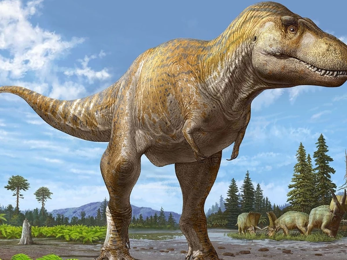 Dinozorların Zeka Seviyesi Hakkında Şaşırtıcı Araştırma Sonuçları Ortaya Çıktı: 'Beklenenin Aksine Çok Zeki Değillerdi'