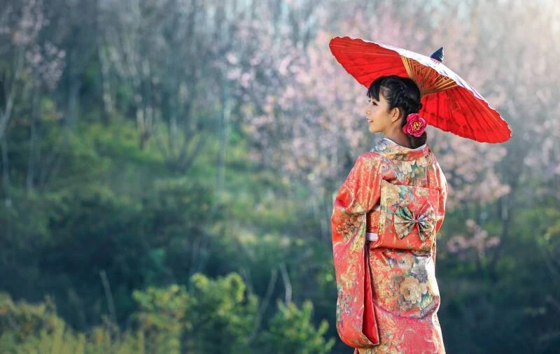 Japonlar Kimdir? Büyük DNA Keşfi Tarihi Yeniden Yazıyor!